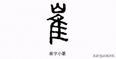​寻根问祖——百家姓之“崔”姓