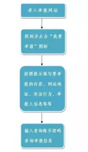 ​快速了解网上举报方式有哪些