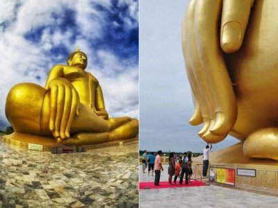 ​看完这30张照片，巨物恐惧症彻底发作了…