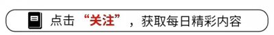 ​广东排名前十的餐饮老字号，广州酒家排在榜首！你吃过这些老字号