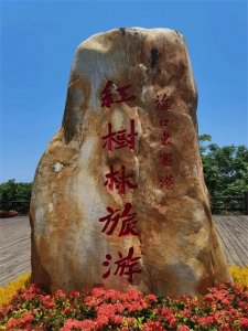 ​说说含“不”字的成语大世界