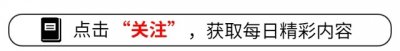 ​黑龙江东北虎伤人事件，家属称有两只老虎，伤者左手臂保不住了！