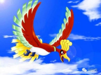 精灵宝可梦图鉴第46期——搜神记(9)凤王