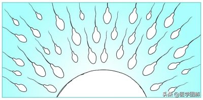 恐怕都不知道精子这么多讲究!如何看懂精液检验报告丨医学图解