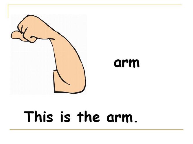 arm英语怎么读（单词arm怎么读）