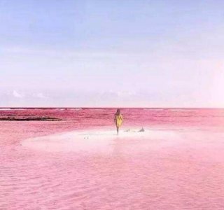 ​希勒湖为什么是粉色的，因藻类变异论断已被拆除