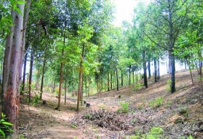 ​飞来峰小农村一晚上神奇丢失之谜，千人农村被沙尘暴淹没