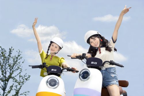 新日锂电池电动车价格一览表(新日锂电池电动车质量怎么样)-第1张图片-