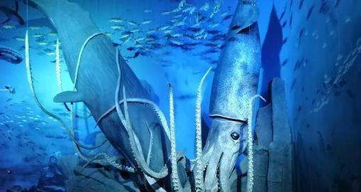 章鱼的血液为什么是蓝色的,为什么章鱼的血是蓝色的?图4