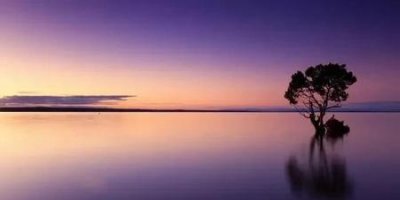 ​爱情谁对谁错