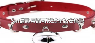 ​sm情趣用品可以过车站安检吗（情趣用品能过安检吗）