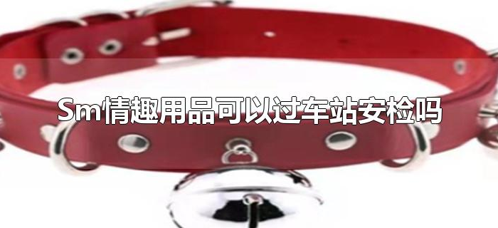 sm情趣用品可以过车站安检吗