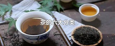 ​茶的六大分类