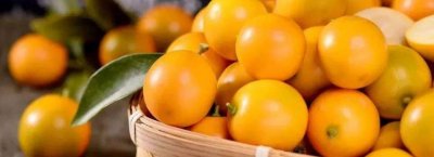 ​金桔可以直接晒干吗 小金桔晒干了可以泡水喝吗?