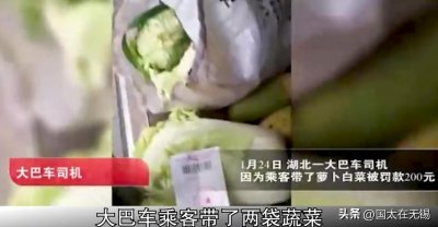 ​乘客带两颗白菜坐大巴，交警认定：违规！司机被罚200元